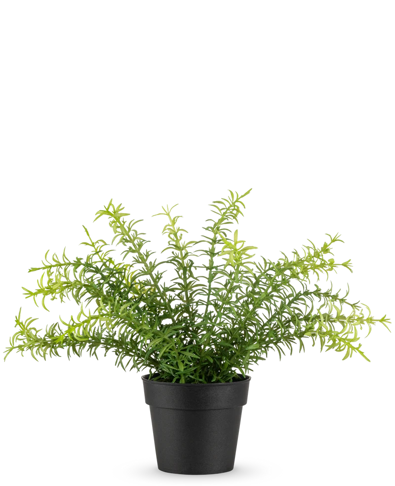 Künstliche Pflanze Anthurium 27 cm