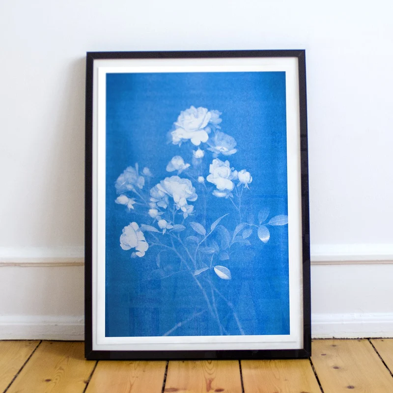 Artprint Poster Rose