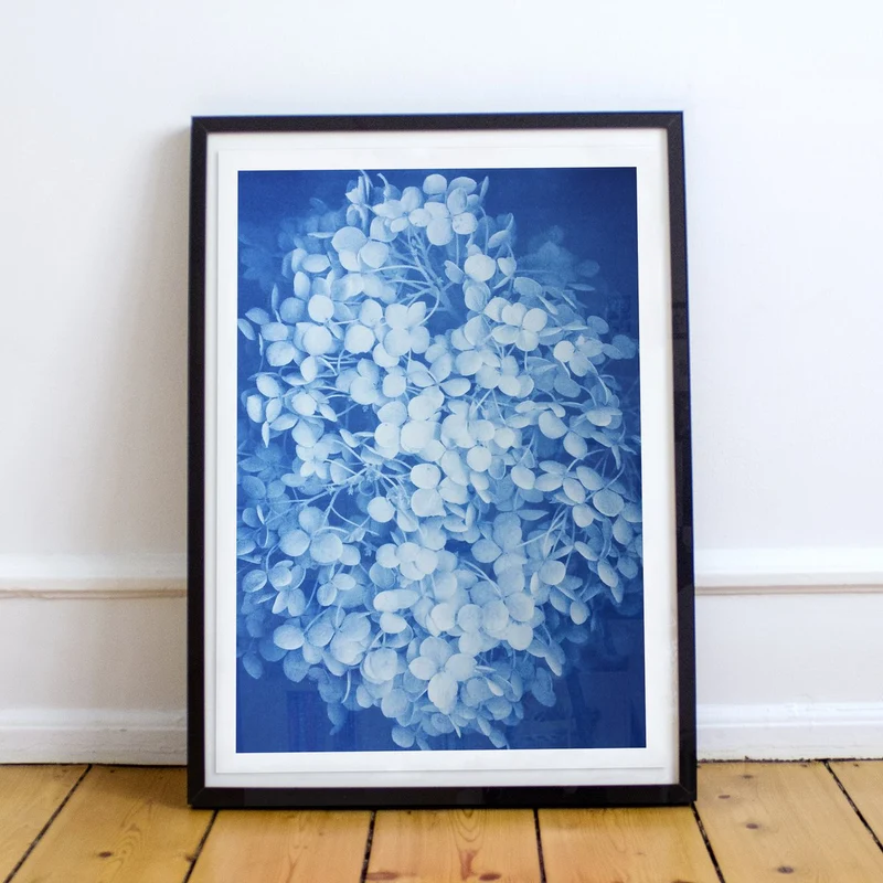 Artprint Poster Hortensie