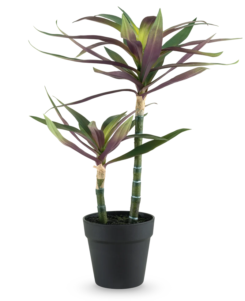 Künstliche Pflanze Yucca gigantea 53 cm