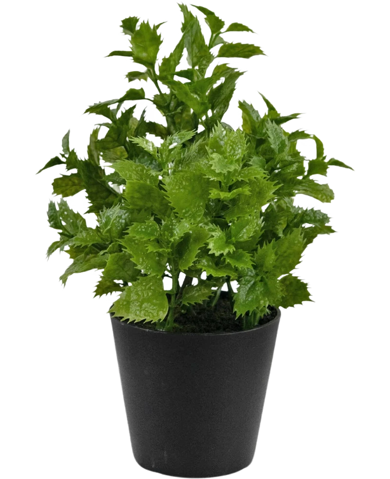 Künstliche Pflanze Perilla 25 cm