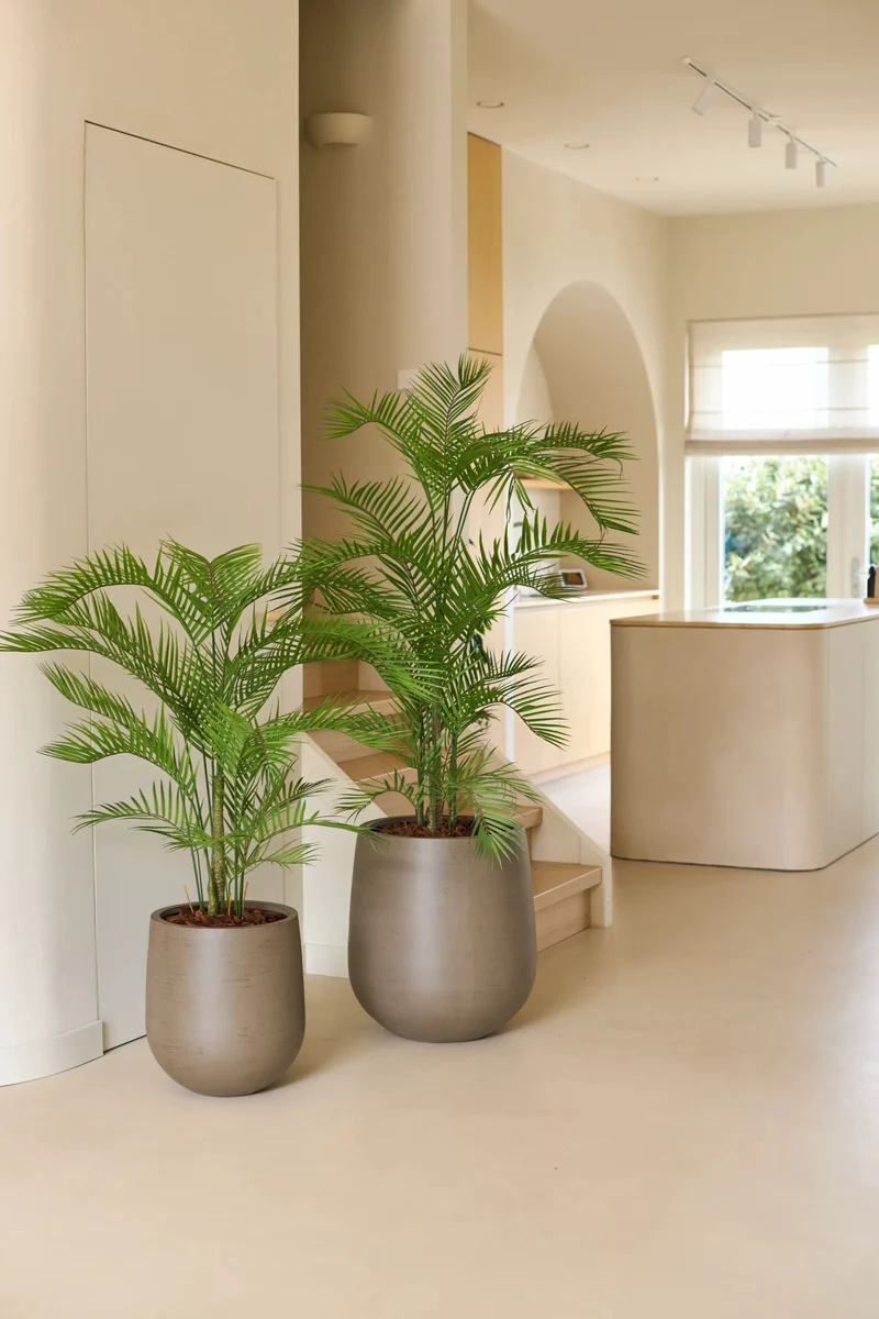 Künstliche Pflanze Chamaedorea 120 cm