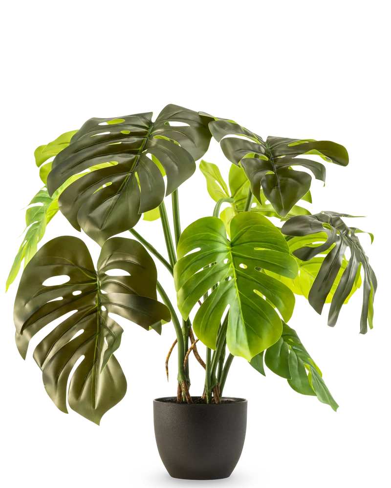 Künstliche Monstera 50 cm