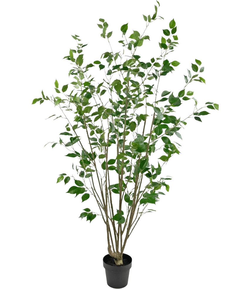 Künstliche Pflanze Ficus 180 cm