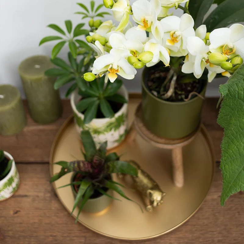 Dekorative Schale Rund – Goldenes Tablett Ø 30 cm