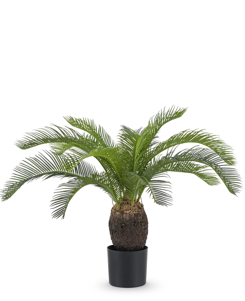 Künstliche Pflanze Baby Cycas Palm 60 cm