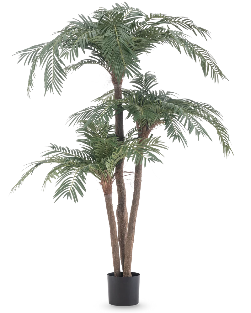 Cycas Künstliche Palme Classic 165 cm