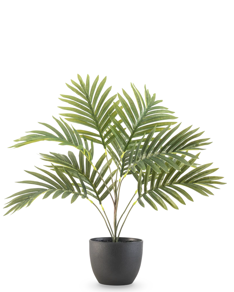 Künstliche Palme Phoenix 50 cm im dekorativen Topf schwarz