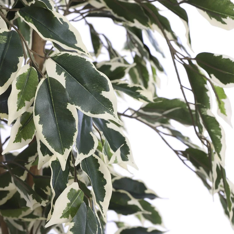 Künstlicher Ficus, 110 cm