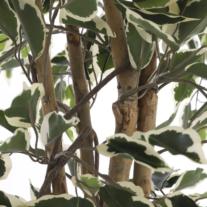 Künstlicher Ficus, 110 cm