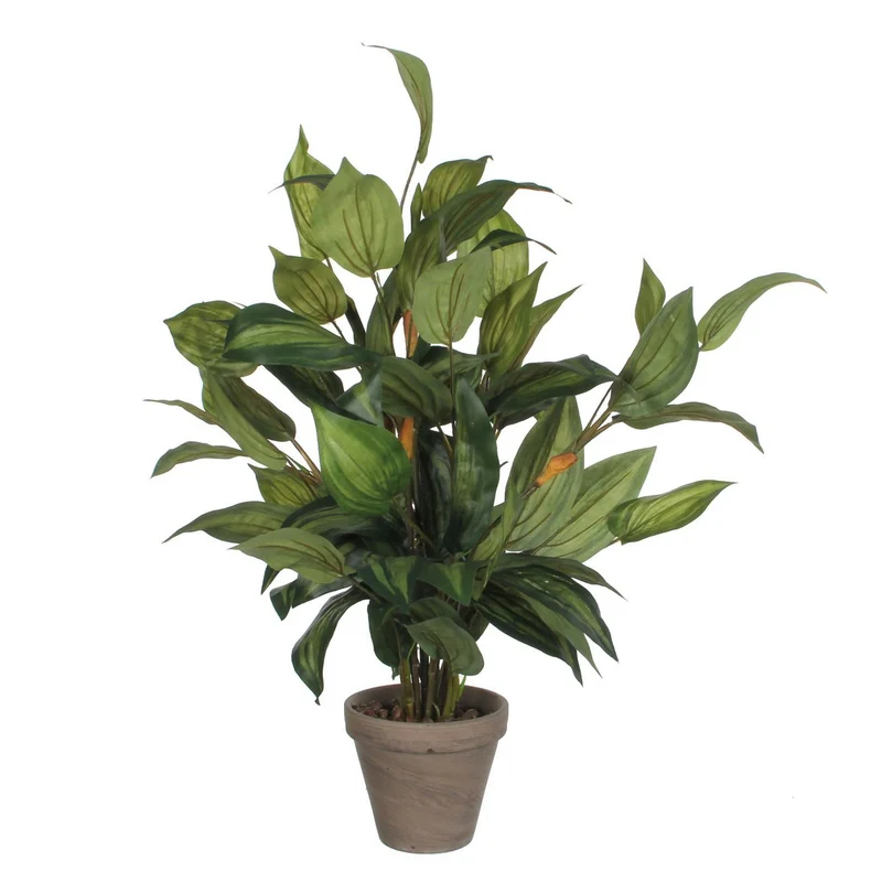 Künstliche Hosta