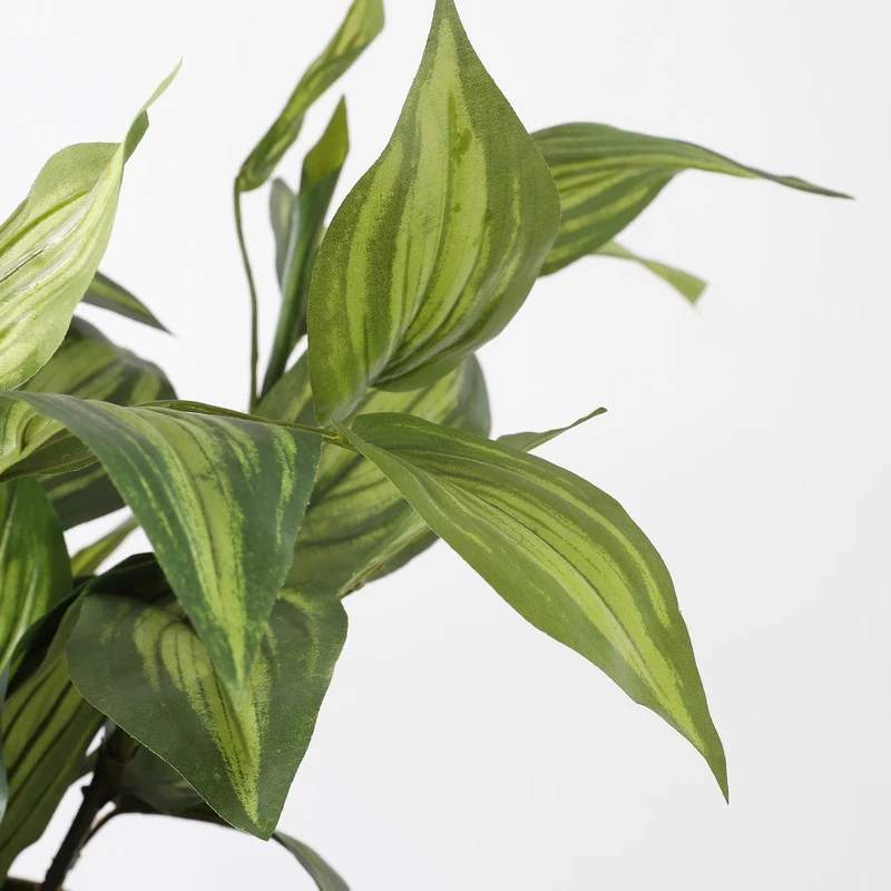 Künstliche Hosta