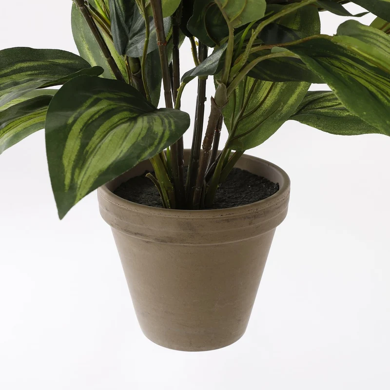 Künstliche Hosta