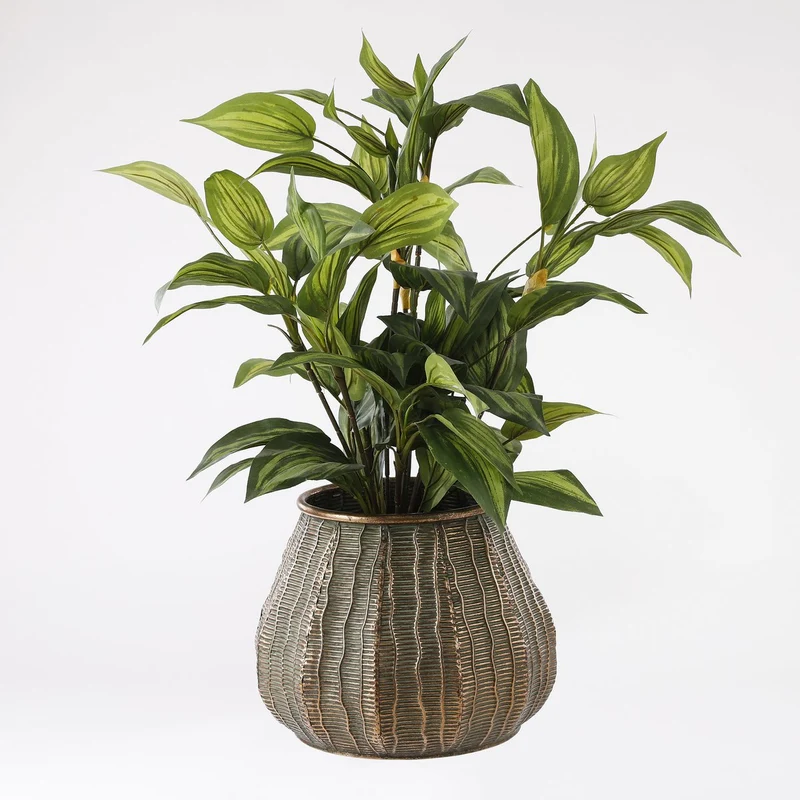 Künstliche Hosta