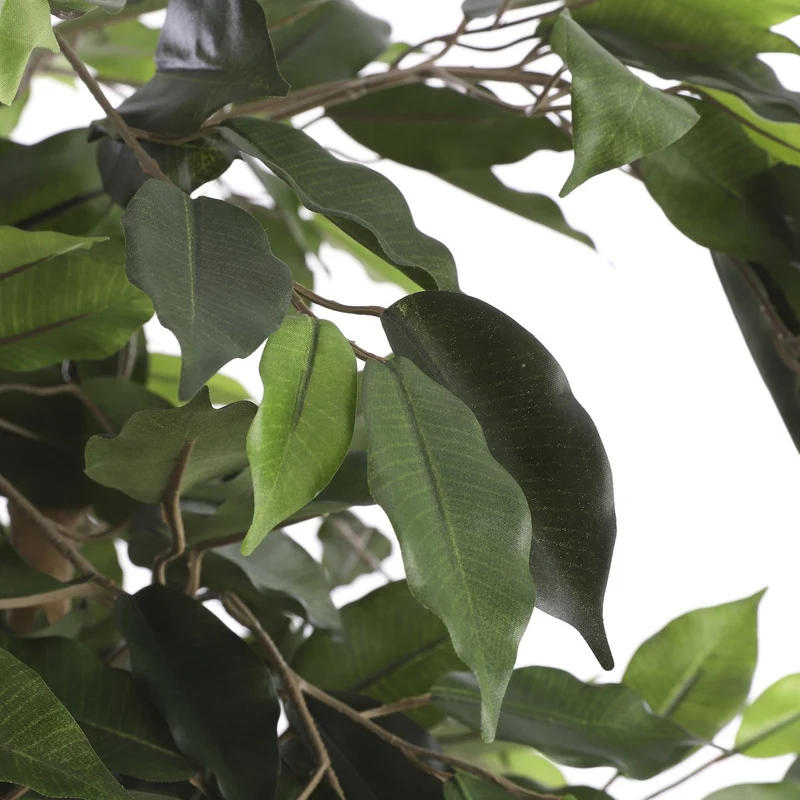 Künstlicher Ficus, 150 cm
