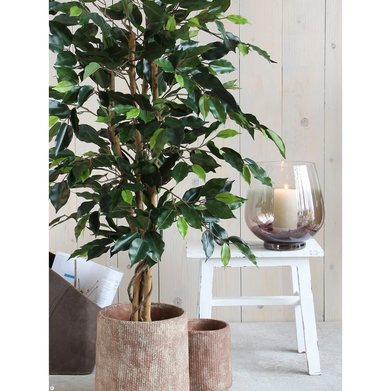 Künstlicher Ficus, 150 cm