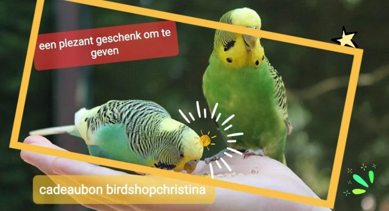 Geschenkkarte Birdshop Christina