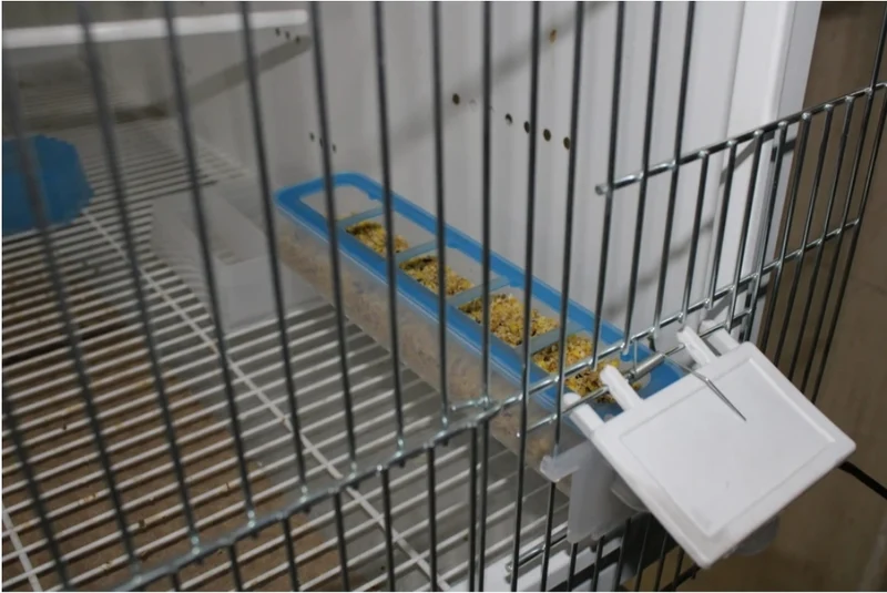 Kombipaket, - Cupe, - Apollo Feeder