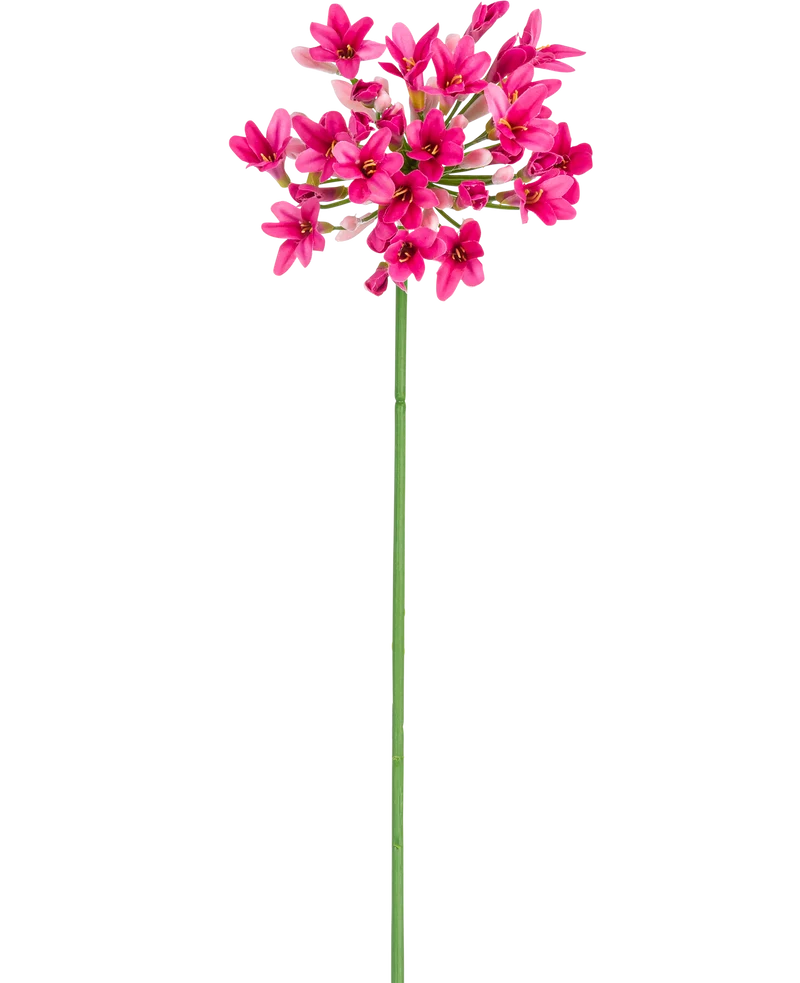 Künstlicher Agapanthus 77 cm rosa