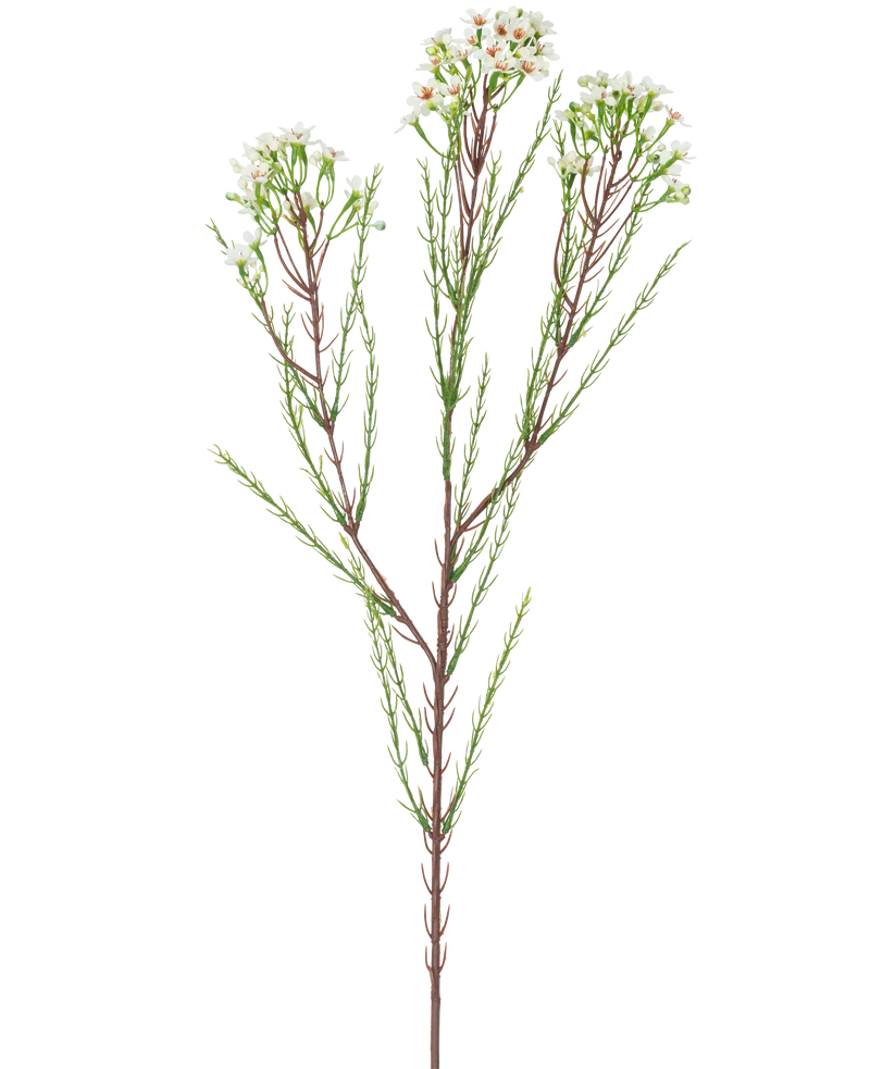 Künstlicher Zweig Waxflower 78 cm creme