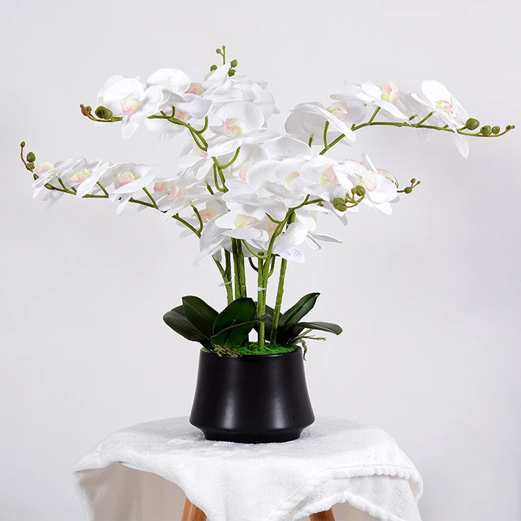 56cm Kunstblume Orchidee groß in Hochglanz-Keramiktopf Orchideen künstlich Kunstblumen wie echt künstliche Orchideen im Topf