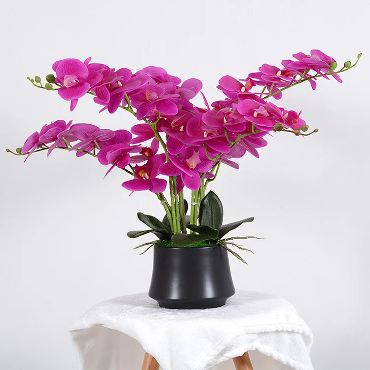 56cm Kunstblume Orchidee groß in Hochglanz-Keramiktopf Orchideen künstlich Kunstblumen wie echt künstliche Orchideen im Topf