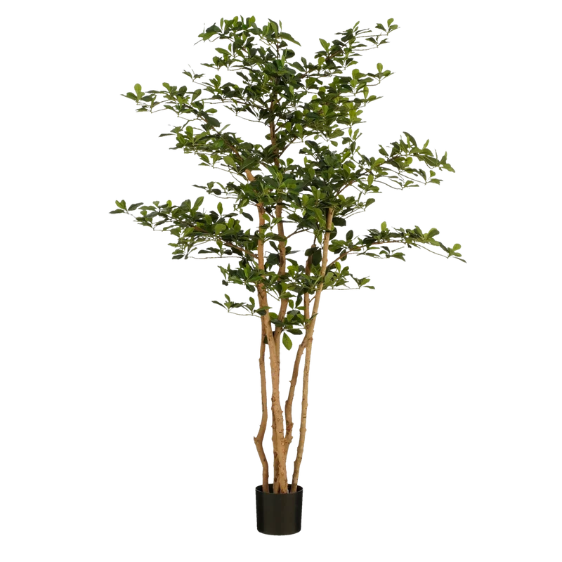 Künstlicher Olivenbaum (183 cm)