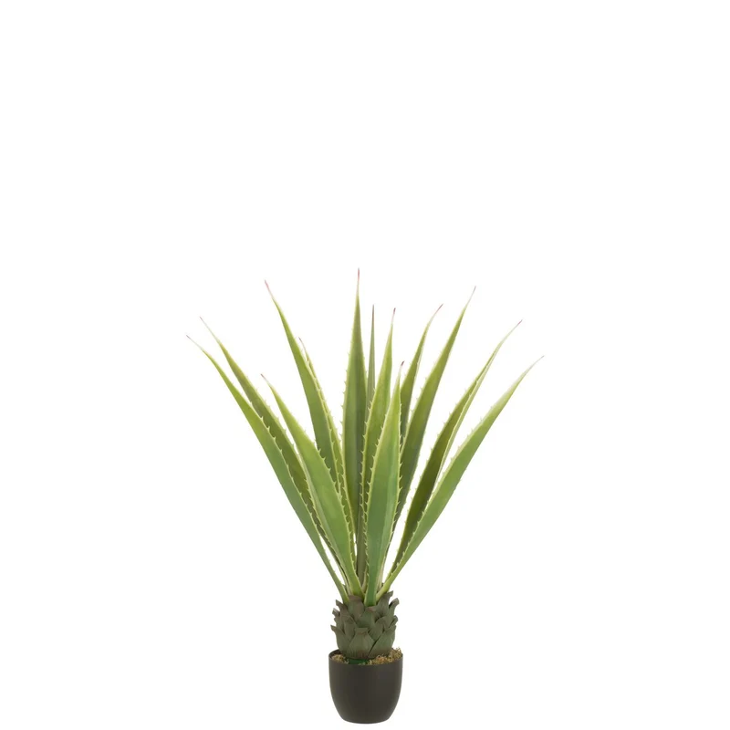 Künstliche Agave