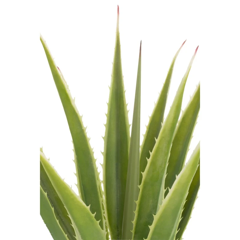 Künstliche Agave