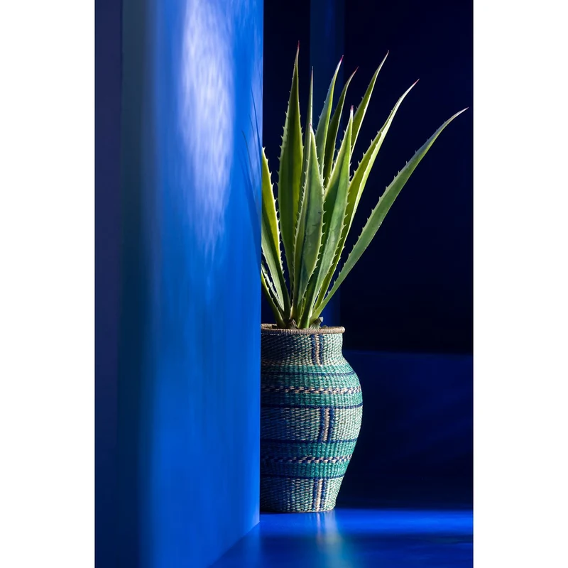 Künstliche Agave
