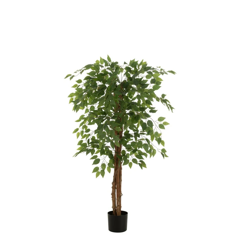 Künstlicher Ficus, hellgrün