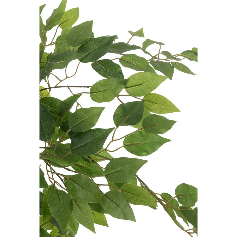 Künstlicher Ficus, hellgrün