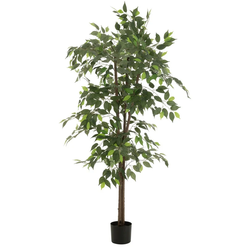 Künstlicher Ficus, grün