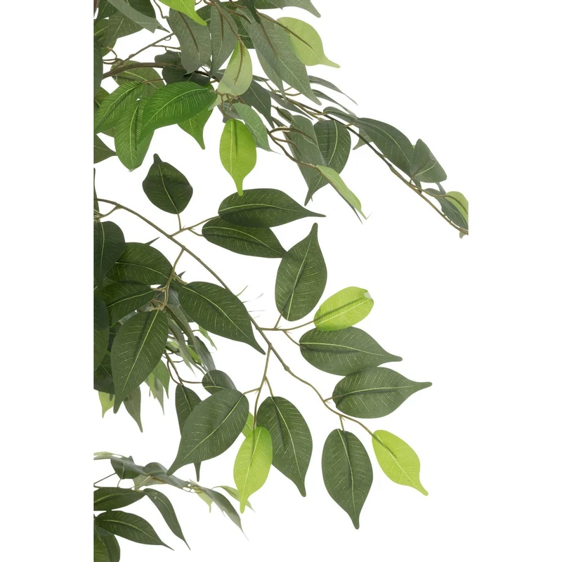 Künstlicher Ficus, grün