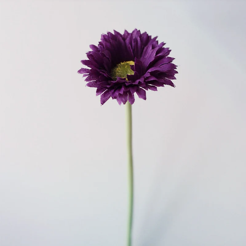 10 Stück 20cm Kunstblumen Afrikadaisy Stängel Gerbera Bouquet Frühling - Blumenarrangements für Tischdekoration