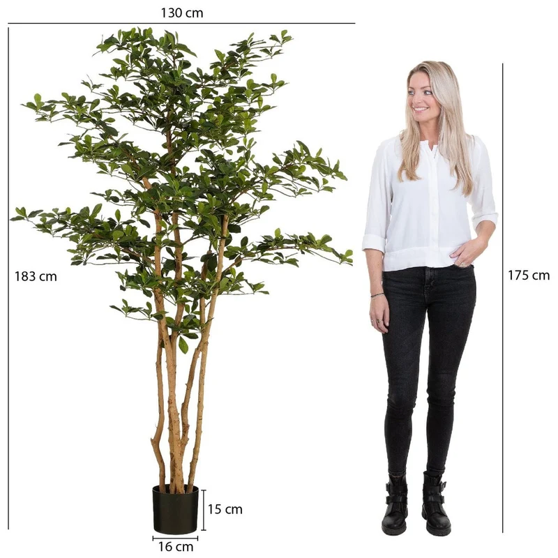 Künstlicher Olivenbaum (183 cm, Grün)
