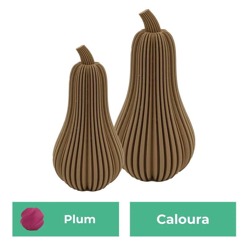 Erstsemester-Set