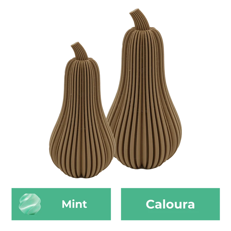 Erstsemester-Set