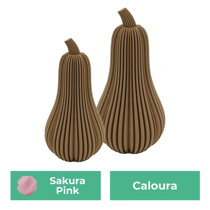 Erstsemester-Set
