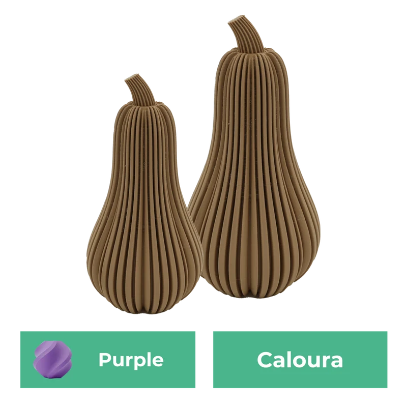 Erstsemester-Set