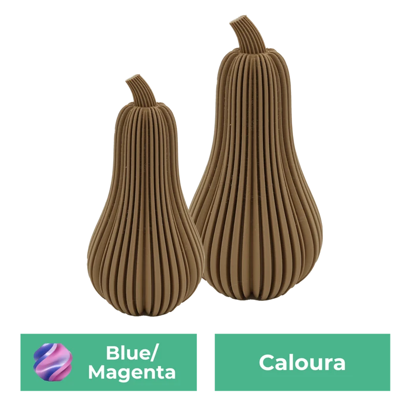 Erstsemester-Set