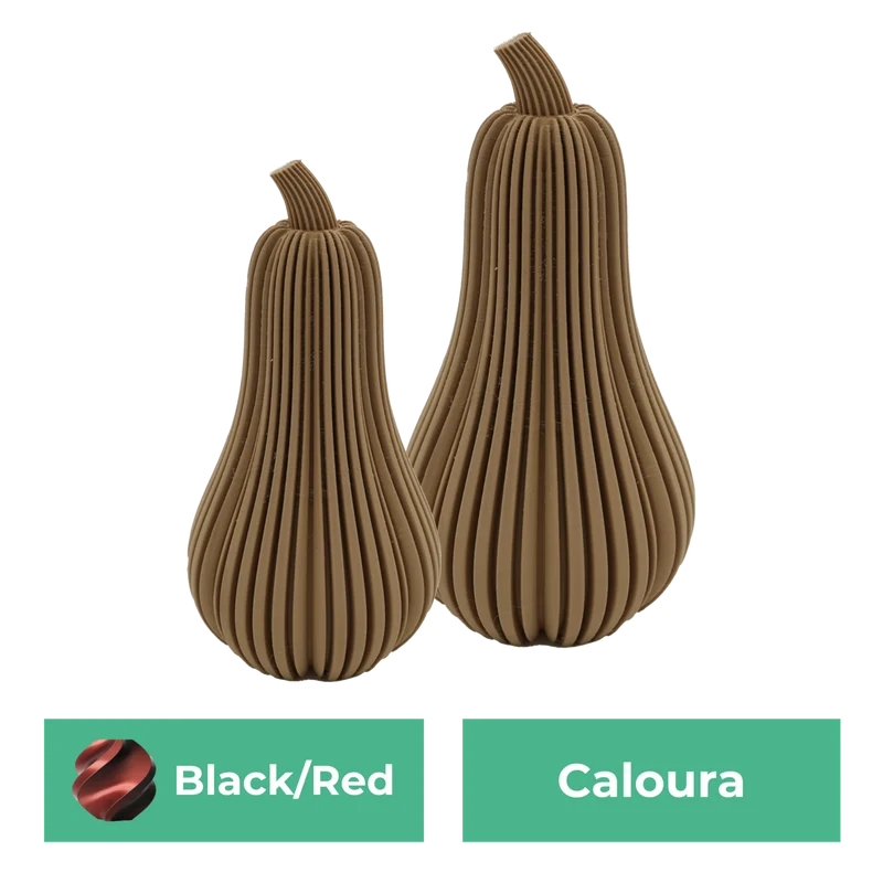 Erstsemester-Set