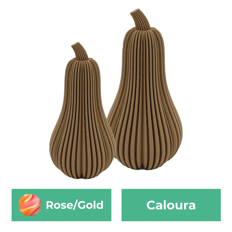 Erstsemester-Set
