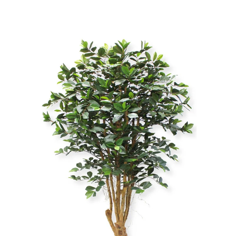 Künstlicher Ficus (180 cm)