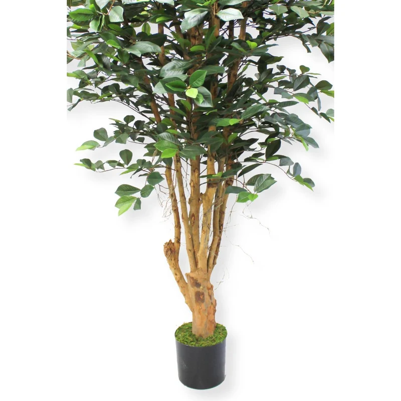 Künstlicher Ficus (180 cm)