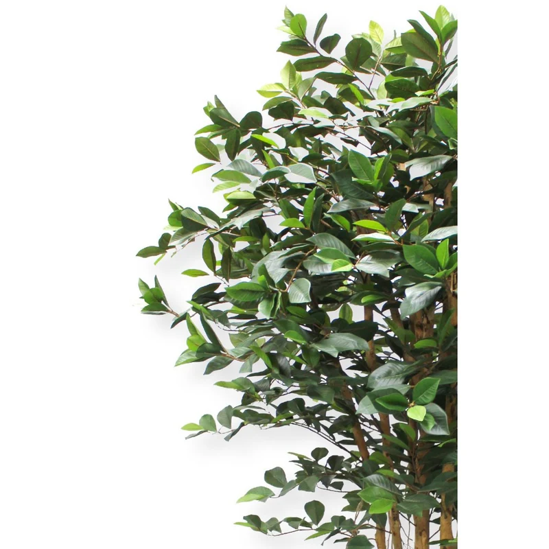 Künstlicher Ficus (180 cm)