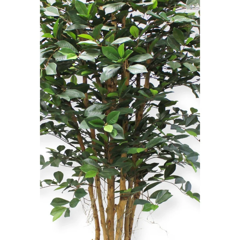 Künstlicher Ficus (180 cm)