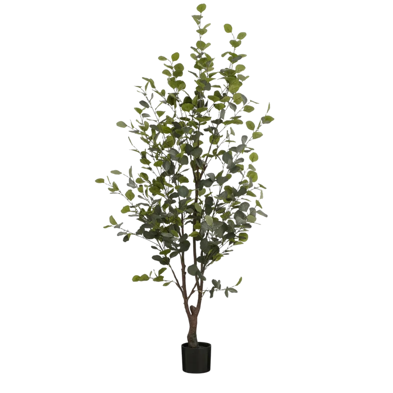 Künstlicher Eukalyptusbaum (180 cm)