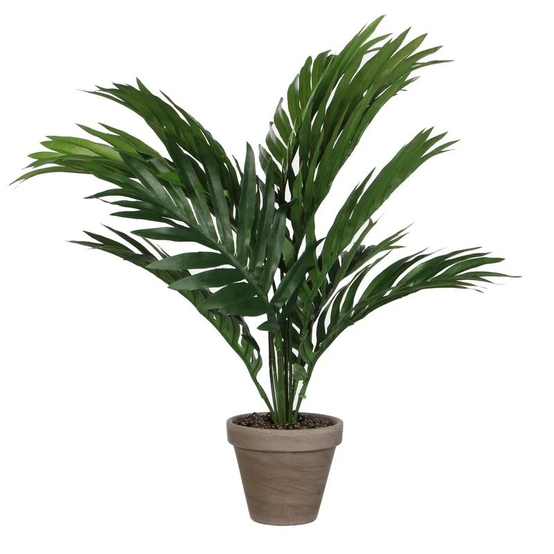 Künstliche Areca-Palme (45 cm)
