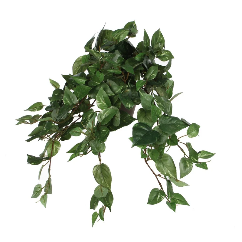 Künstlicher Scindapsus (45 cm)